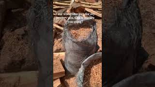 Wood shavings as been working for me in my poultry farm