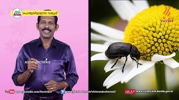 KITE VICTERS STD 06 Basic Science Class 12 (First Bell-ഫസ്റ്റ് ബെല്‍)