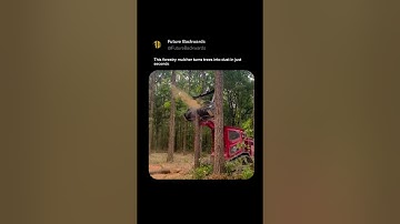 This forestry mulcher turns trees into dust in just seconds