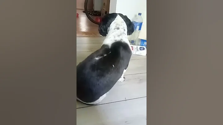 srttt