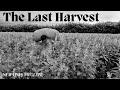 The last harvest  documentary