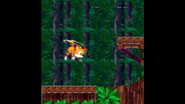 Sonic 2 Prototype be like (Sprite Animation)