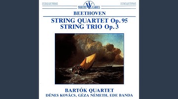 String Quartet No. 11 in F Minor, Op. 95 "Serioso": II. Allegretto, ma non troppo