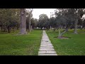 [400 years old trees]   Walking tour of the park " El Olivar" | District San isidro | Lima walk