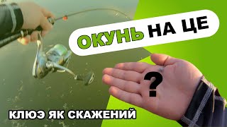 🎣 ОКУНЬ клює як СКАЖЕНИЙ! 🎣