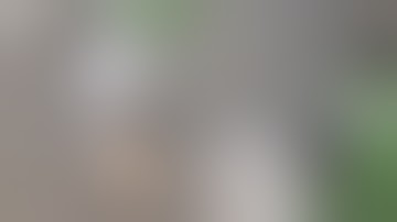 Best Fails of the Week 2 November 2015    FailArmy 1