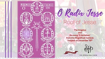 O Radix Jesse (O Root of Jesse) - The Great O Antiphons of Advent (SPP Church, SG)
