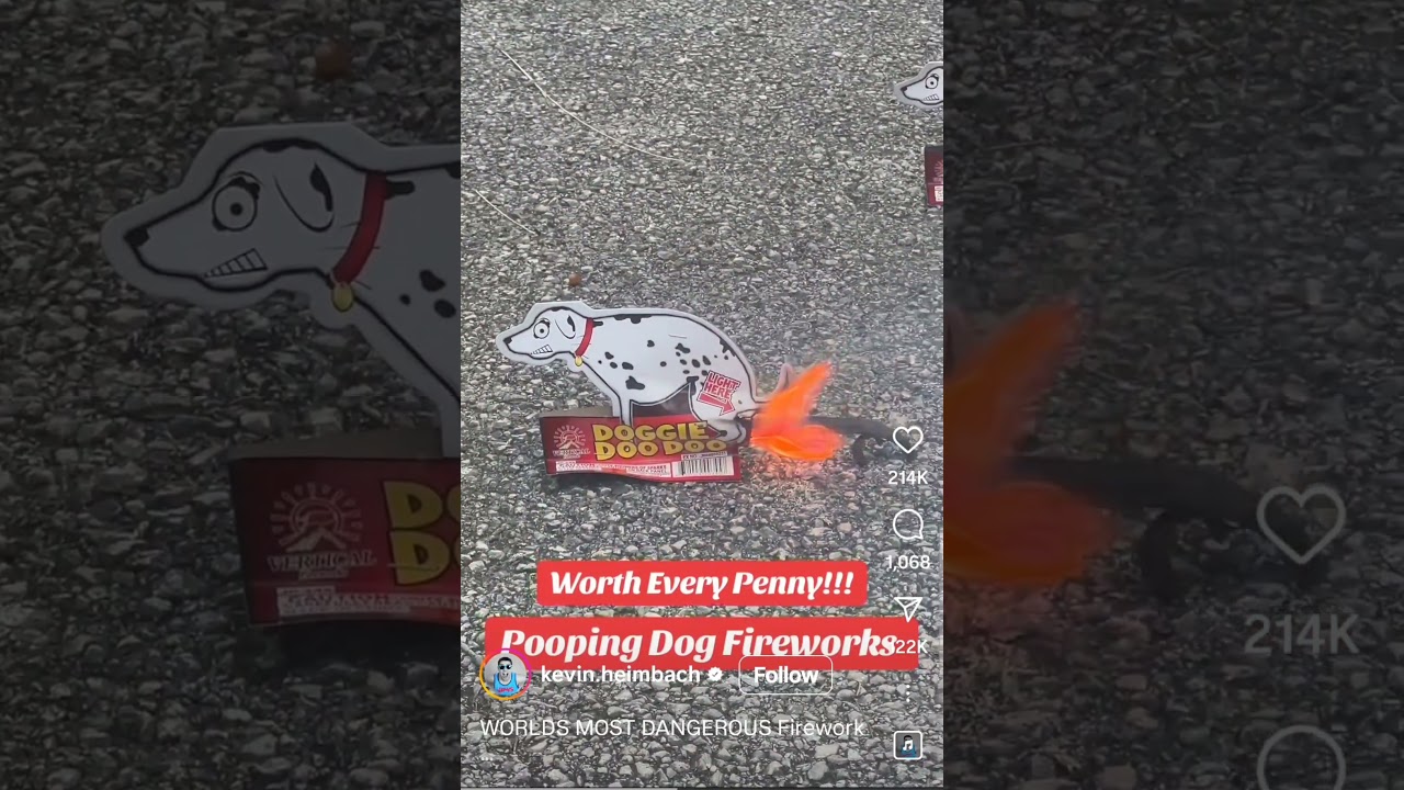 #viralvideo #funny #fypシ゚viral #foryou #fireworks #happy4thofjuly #trending