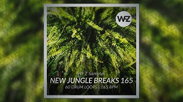 NEW JUNGLE BREAKS 165 Samplepack - WFZ Samples
