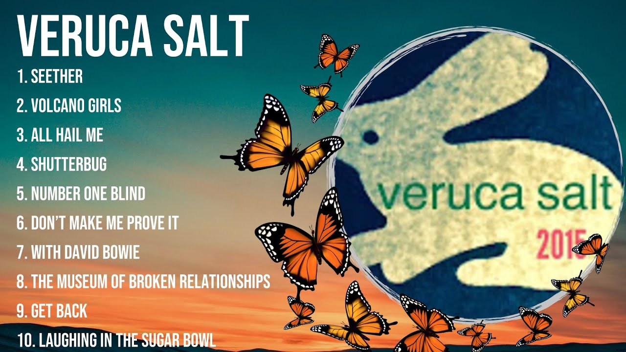 The Best Of Veruca Salt ~ Top 10 Artists of All Time ~ Veruca Salt