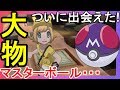 どのポケモンにマスターボールを使うのか！？【ポケモンウルトラサンムーン】