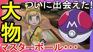 どのポケモンにマスターボールを使うのか！？【ポケモンウルトラサンムーン】