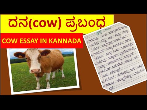 short essay on cow in kannada