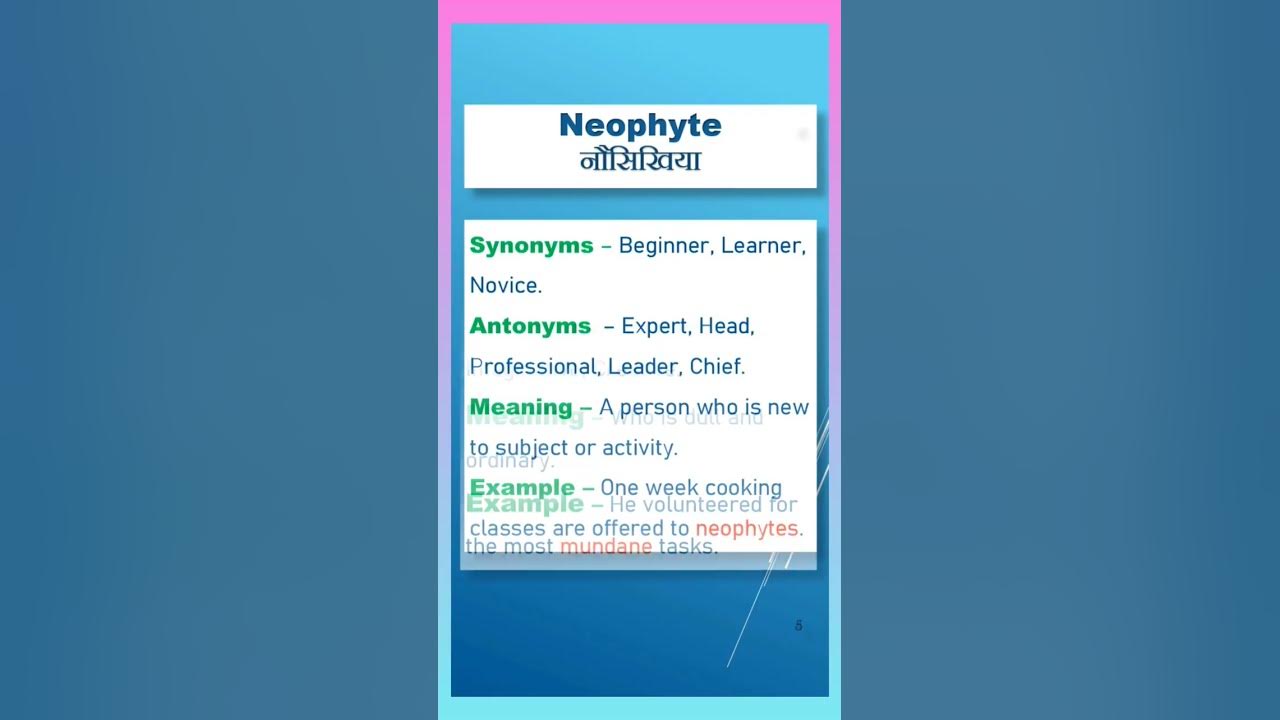mundane-vocabulary-building-vocabulary-antonyms-synonyms