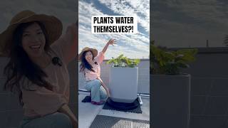 I Stopped Watering My Plants…Here’s What Happened