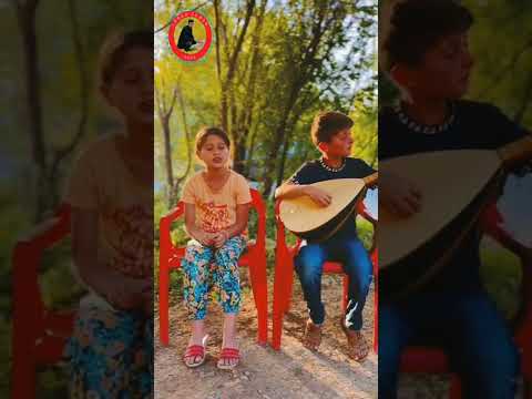 roj çu ava