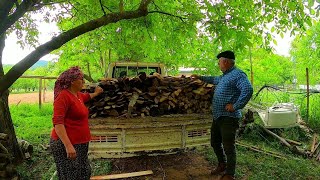 ÇADIRINA AĞAÇ DÜŞTÜ 😮 YeNİ  KuLüBE 🛖🏠 İÇİN AĞAÇLAR KERESTECİYE BİÇTİRİLDİ...