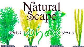 NaturalScape　ナチュラルスケープ