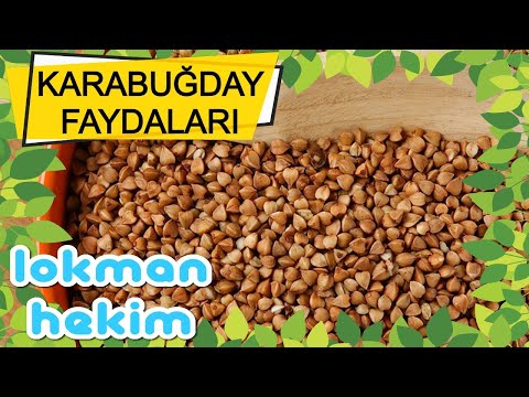 Video: Karabuğday Neden Insan Vücudu Için Yararlıdır?