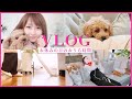 【休日のわたし時間】自宅リビングのお掃除と美容VLOG