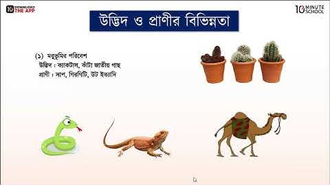 ২) অধ্যায় ২: উদ্ভিদ ও প্রাণী