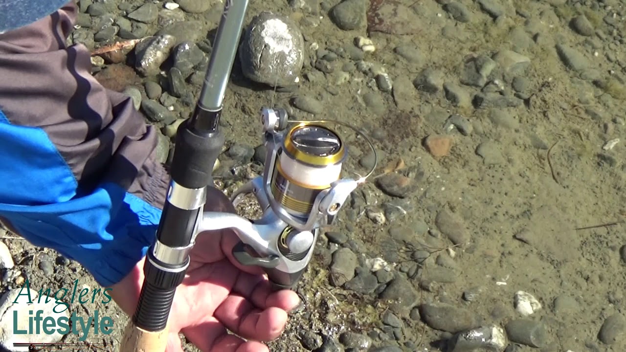 Baitfeeder Reels - I love them. Quarry Lakes, Fremont, CA. - YouTube