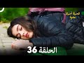 الحياة أحيانا حلوة الحلقة 36 الحياة أحيانا حلوة الحلقة 36