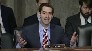 March 5, 2019: Senator Tom Cotton Q&A During Senate Armed Services Committee Hearing