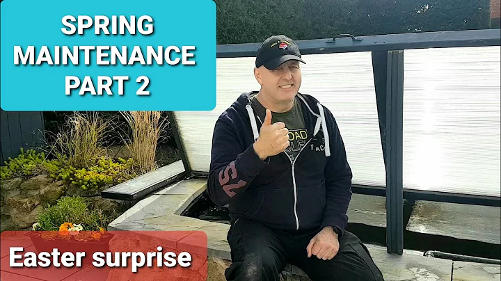 Spring maintenance part 2 (KOI POND)