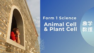 KSSM Form 1 Science Chapter 2 { Animal Cell & Plant Cell} 双语笔记，中文讲解