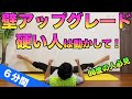 「90度用」股関節が硬い人は壁を使って動かすストレッチの方が効果的！