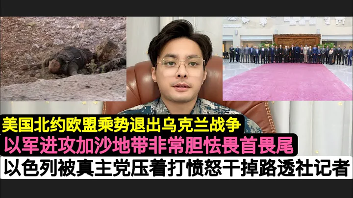 重磅！美国宣布不再支持乌克兰！中国召集所有阿拉伯联盟国家替巴勒斯坦背书！俄罗斯跟进！以色列开始尝试性进攻加沙，但是打得畏首畏尾！北部以军同黎巴嫩交火被压着打，以色列恼火不想真相曝光干掉法新社路透社记者 - 天天要闻