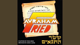 Video thumbnail of "Avraham Fried - R'foeni"