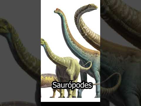 Vídeo: Qual é o maior diplodoco ou braquiossauro?