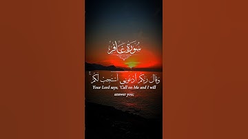 أكتب شيء تؤجر عليه ❤️😴سورة غافر
