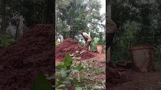 brick making #kaka leno
