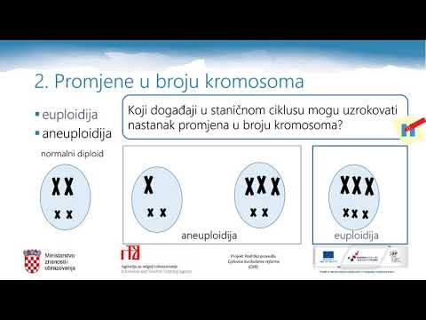 Biologija 4.r. SŠ -  Promjene strukture i broja kromosoma