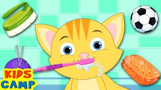 favorite little pet cute kittens morning routine learning songs for kids