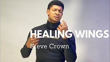 Steve Crown-HEALING WINGS #stevecrown #healing #worship #yahweh #trending #trendingvideo