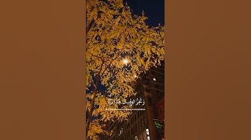 قرآن || سوره مريم || تلاوة خاشعه|| بصوت القارئ عبدالرحمن مسعد.