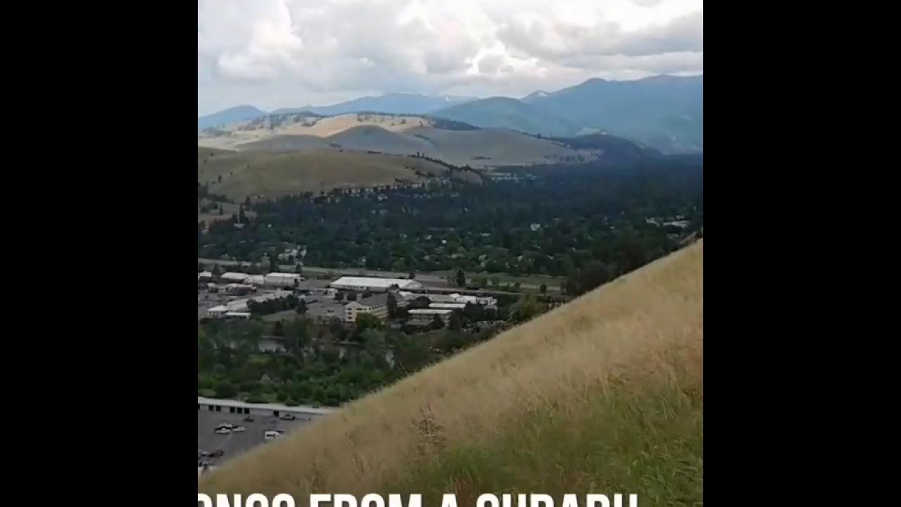 Wish The Wind Would Blow Me by Bob Schneider, Covered By Whitherward