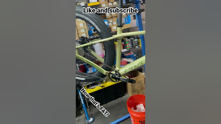Fat bike! You Godda see this! #bike #bicycle #redbull #youtubeshorts #dog #mountainbike #shorts