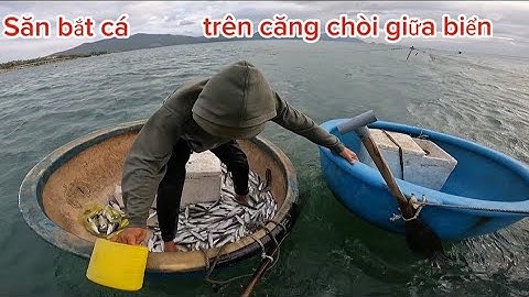 trải nghiệm nhà chòi giữa biển. săn bắt cá đối  một ngày bội thu (trang Thái tv)