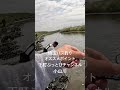 埼玉バス釣りオススメポイント