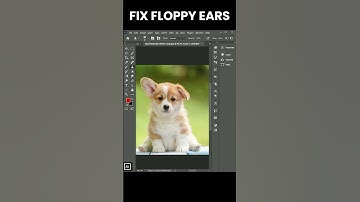 Fix Floppy Ears In Photoshop It