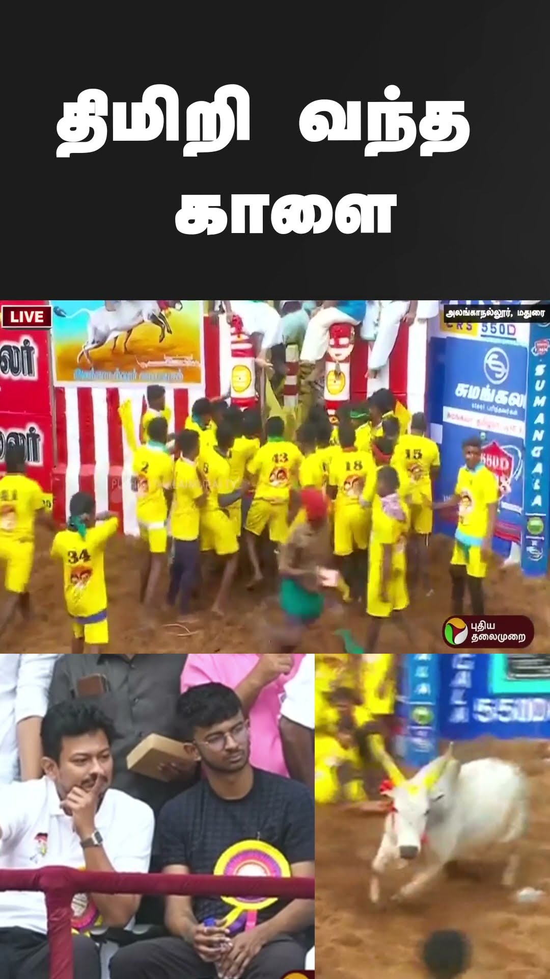 திமிறி வந்த காளை | #shorts | #jallikattu2025 | #jallikattu