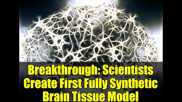 Breakthrough: Scientists Create First Fully Synthetic Brain Tissue Model
