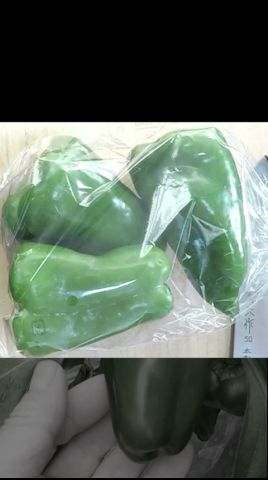 ピーマン 再生栽培　買ってきたピーマンからの再生 #家庭菜園 #再生栽培 #再生栽培 #料理 #料理動画