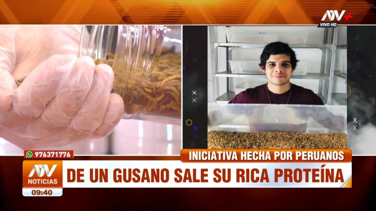 Conozca la proteina a base de gusanos - Demolitor