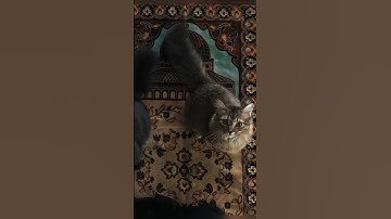 أَلَا بِذِكۡرِ ٱللَّهِ | من سورة الرعد بصوت القارئ عبدالرحمن مسعد | أرح سمعك